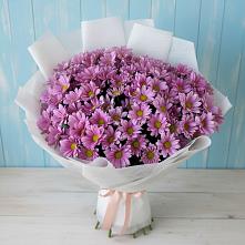 Букет цветов из:  Хризантемы в Рыбной Слободе