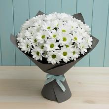 Букет цветов из:  Хризантемы в Рыбной Слободе