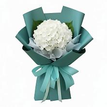 Букет цветов из:  Гортензия в Рыбной Слободе